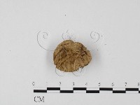 登錄號:F0025655藏品圖，第1張