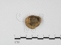 登錄號:F0025655藏品圖，第3張