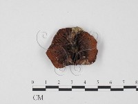 登錄號:F0025658藏品圖，第3張