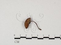 登錄號:F0025659藏品圖，第3張