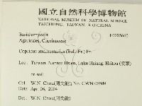 登錄號:F0025660藏品圖，第2張