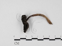 登錄號:F0025660藏品圖，第1張