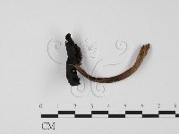 登錄號:F0025660藏品圖，第3張