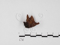 登錄號:F0025661藏品圖，第3張