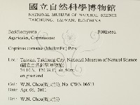 登錄號:F0025662藏品圖，第2張