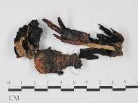 登錄號:F0025662藏品圖，第1張