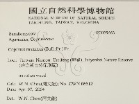 登錄號:F0025663藏品圖，第2張