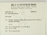 紅菇屬藏品圖，第2張