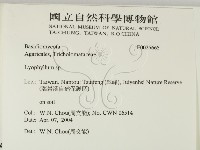 登錄號:F0025665藏品圖，第2張