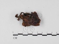 登錄號:F0025665藏品圖，第3張