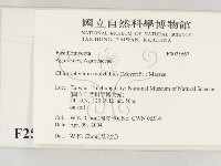 登錄號:F0025667藏品圖，第2張