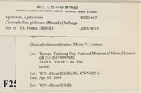 登錄號:F0025667藏品圖，第4張
