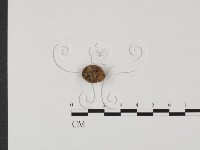 登錄號:F0025668藏品圖，第1張