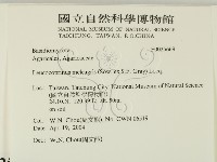 登錄號:F0025669藏品圖，第2張