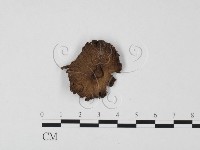 登錄號:F0025669藏品圖，第1張