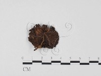 登錄號:F0025669藏品圖，第3張