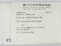 登錄號:F0025670藏品圖，第2張