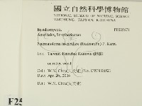 登錄號:F0025671藏品圖，第2張