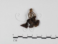 登錄號:F0025671藏品圖，第3張