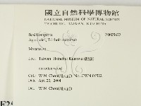 小菇屬藏品圖，第2張