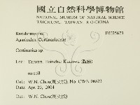 登錄號:F0025673藏品圖，第2張