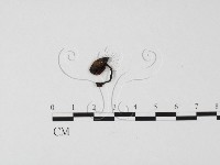 登錄號:F0025675藏品圖，第3張