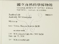 小菇屬藏品圖，第2張