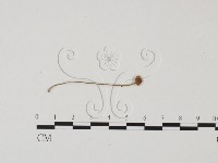 登錄號:F0025680藏品圖，第1張