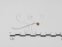 登錄號:F0025680藏品圖，第3張