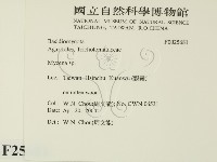 小菇屬藏品圖，第2張