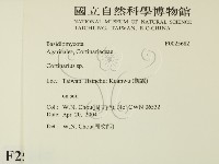 登錄號:F0025682藏品圖，第2張