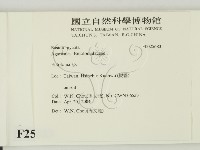 粉褶菌屬藏品圖，第2張