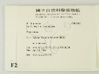 側耳屬藏品圖，第2張