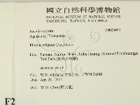 登錄號:F0025690藏品圖，第2張