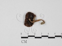 登錄號:F0025692藏品圖，第3張