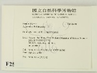 登錄號:F0025693藏品圖，第2張