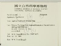 登錄號:F0025696藏品圖，第2張