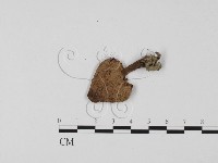 登錄號:F0025696藏品圖，第1張