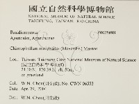 登錄號:F0025698藏品圖，第2張