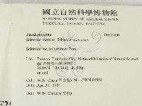 登錄號:F0025699藏品圖，第2張