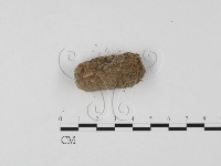 登錄號:F0025699藏品圖，第3張
