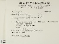 登錄號:F0025700藏品圖，第2張