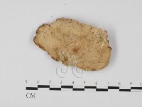 登錄號:F0025700藏品圖，第1張