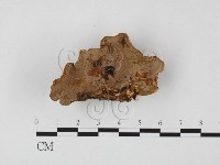 登錄號:F0025701藏品圖，第1張