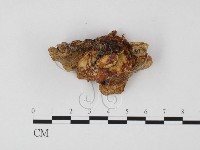 登錄號:F0025701藏品圖，第3張
