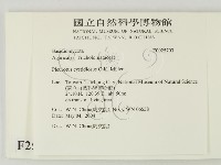登錄號:F0025703藏品圖，第2張