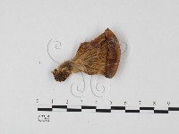 登錄號:F0025703藏品圖，第3張