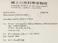 登錄號:F0025704藏品圖，第2張