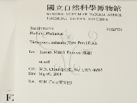 登錄號:F0025706藏品圖，第2張