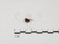 登錄號:F0025707藏品圖，第1張